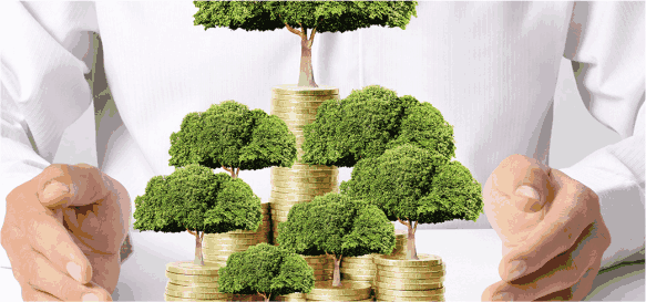 上海綜合保稅區(qū)貿(mào)易發(fā)展處處長陳希：保稅區(qū)將為“融資租賃行業(yè)”提供配套業(yè)務(wù)的綜合服務(wù)平臺_騰凱融資租賃